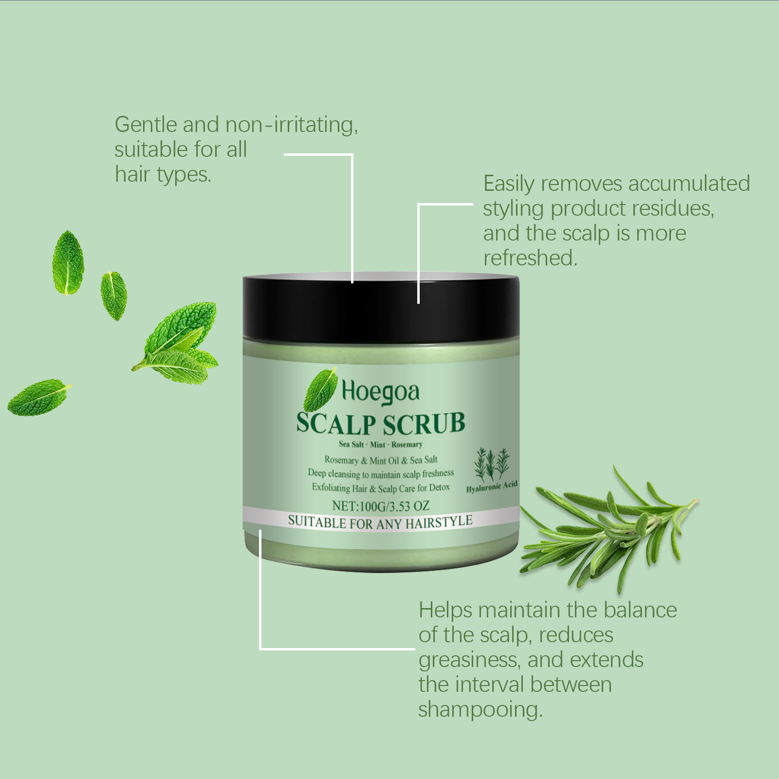 Rosemary Hair Care Scrub Cream - Scalp Scrub Exfoliant のレビューと価格