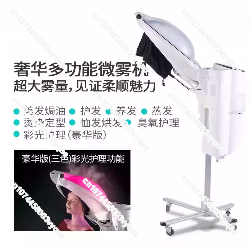 Oil Treatment Ozone Micro Mist - Hair Care Tools のレビューと価格